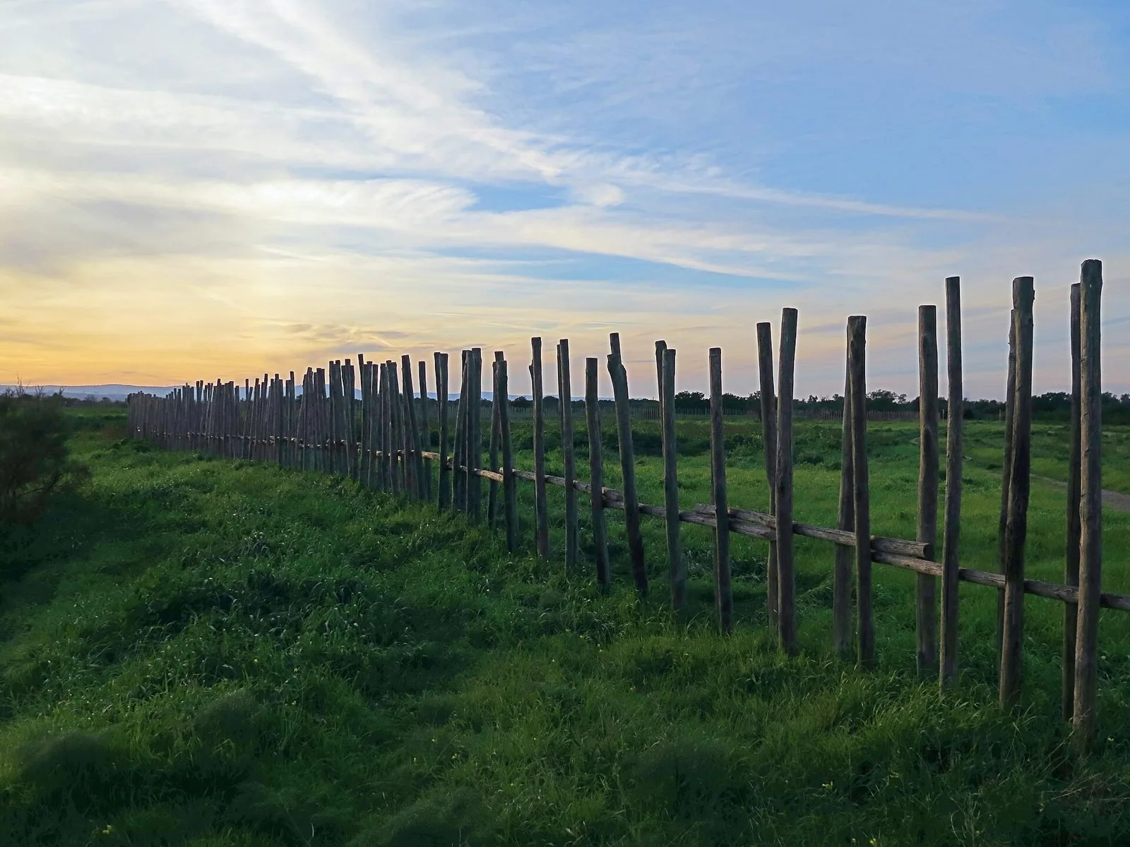 Prato verde nel Bosco Incoronata con una lunga staccionata di pali di legno e il cielo al tramonto sulla pianura verso il torrente Cervaro