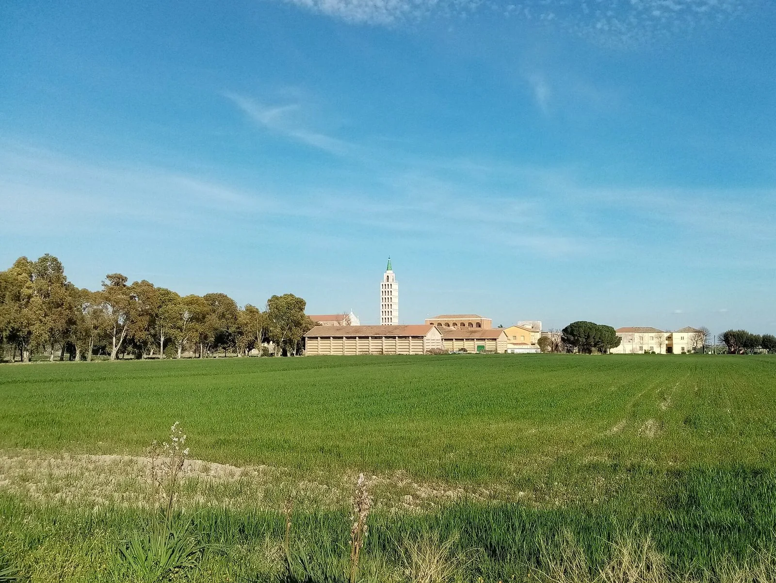 Campo di grano verde sotto un cielo azzurro, con il borgo di Segezia e il suo campanile sullo sfondo, nella campagna di Foggia